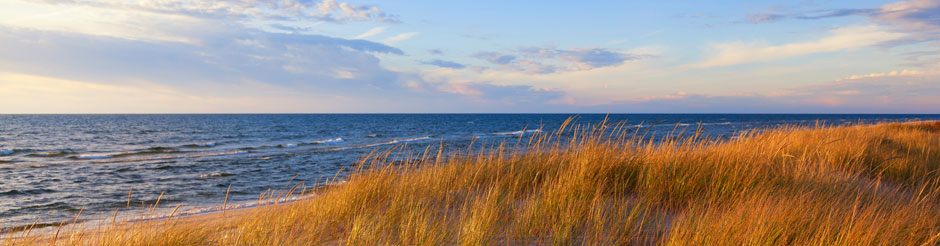 LakeMichiganSummer940x246